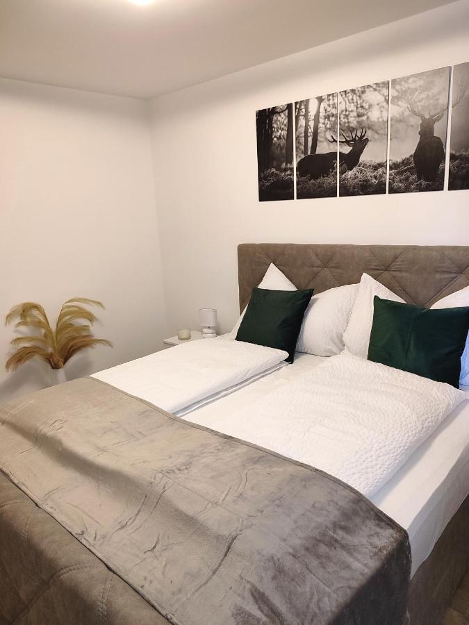 Modern Mountain Apartment - Free Parking & Sauna Obertauern Zewnętrze zdjęcie