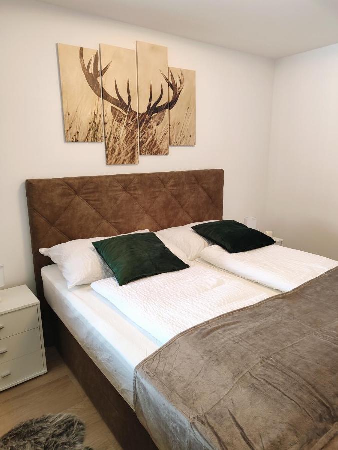 Modern Mountain Apartment - Free Parking & Sauna Obertauern Zewnętrze zdjęcie